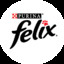 FELİXXX