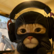 санчоус лютый - steam id 76561199100212322