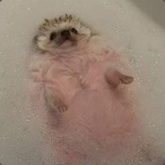 molab - steam id 76561197961380345