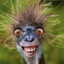 Hyggeracist_Banan
