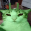 meowmrooowwwwmeow