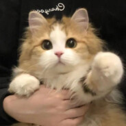 她说和男闺蜜做的不算做