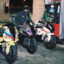 xgf77