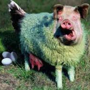 Eierlegende Wollmilchsau