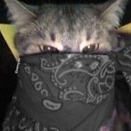 maxcito
