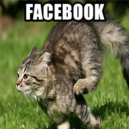 МАКАН2017 (НЕ ФЕЙК) #