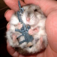 The D1pper - steam id 76561198434267334