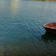 哇哈哈哈哈哈哈