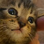 3sA | meow