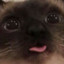 ♥