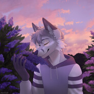 ZhuravlevX