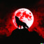 Black_Wolf