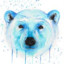 mbear512