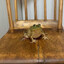 Awesome_Pigy11