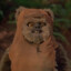 Ewok_SVolk