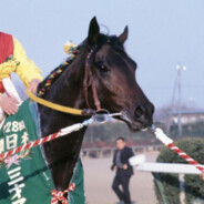 唐完了宋，元，启动！