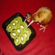 bestkiwi