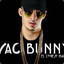 Vac Bunny