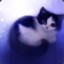 KittyKat1682