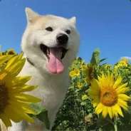 把你那个B麦克风给我开开