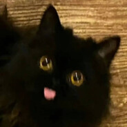 眼里有活别踢我