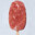 BeefPopsicle