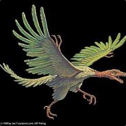 Welcome to St. Tropez