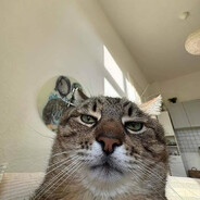 555