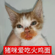 请你吃200个汉堡