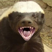 Wściekły Miodożer