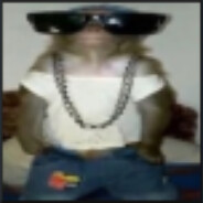 Gutos Majers
