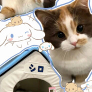 小费来打爆你们