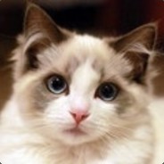 The tears of the cloud