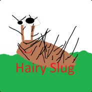 Hairy Slug