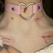 我是apex萌新你也可以叫我派萌