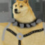 ♂Gachi Doge♂