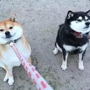 励志积极向上正能量