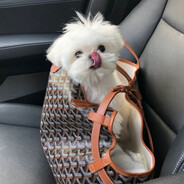 rutthh - steam id 76561199572917681