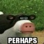 I am Cow