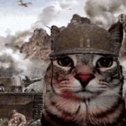 war cat