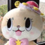 chiitan