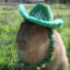 CapybaraGamer