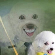 ซำบายอิหลี