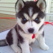 关于我这么菜还爱玩APEX