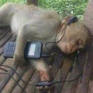 dnkk666 - steam id 76561198160903798