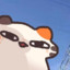 Choco