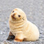 Alta Foca