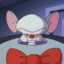 The Brain
