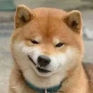 没存在感的甘道夫