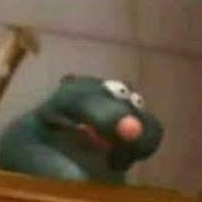 rat